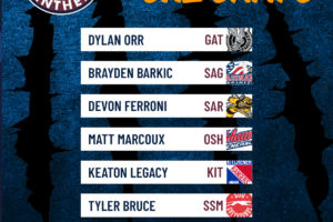 Seven Panthers Attend CHL Rookie Camps